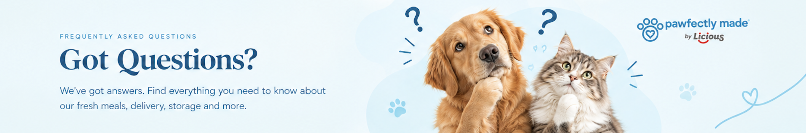 A thoughtful dog and cat looking up at question marks