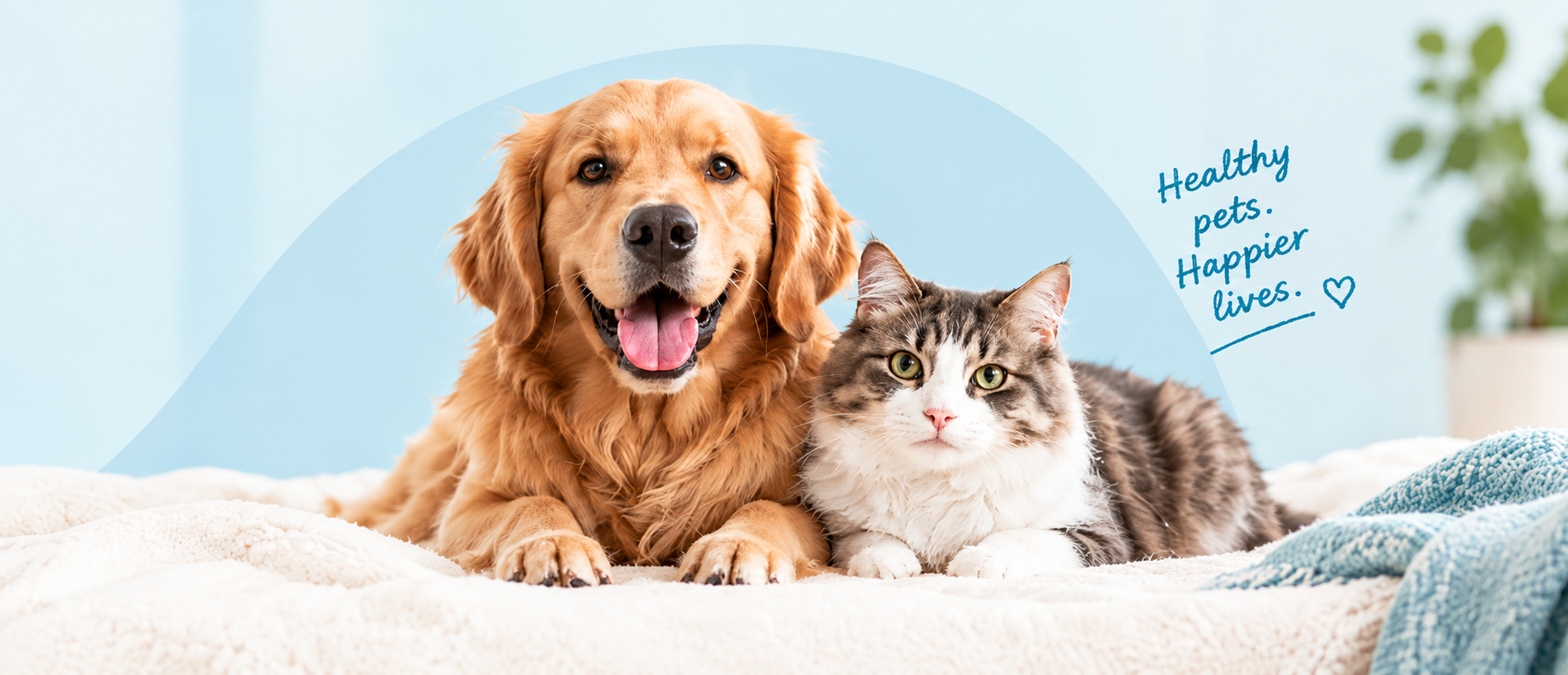 Happy dog and cat