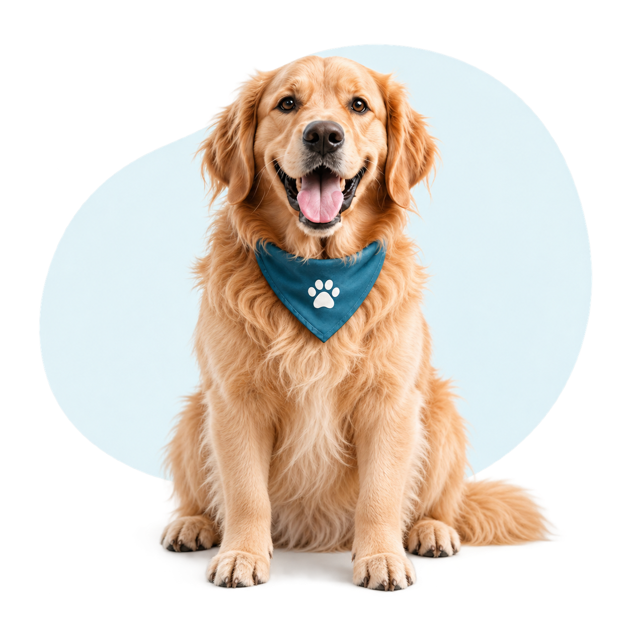 Happy dog for pet profile setup